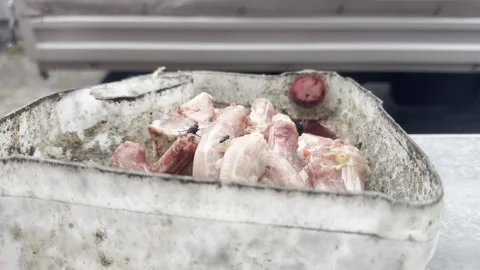 Flies on the meat Stock Footage 315150705