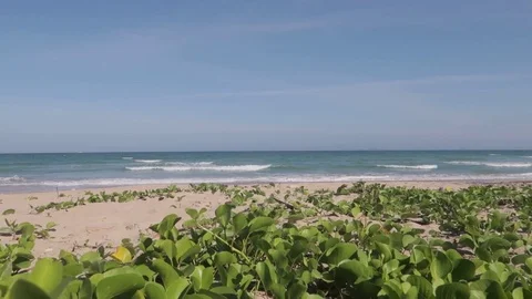 Flies over a beautiful beach overlooking the waves, horizon, Vietnam Stock Footage 115725007