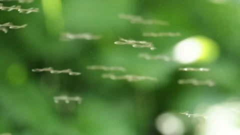 Flies over stream, Yorkshire Dales Stock Footage 271035960