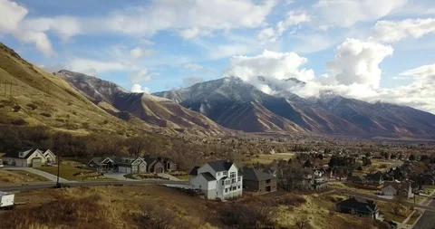 Flies In Reverse Stock Footage 123451666