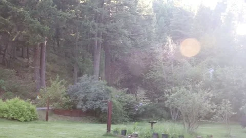 Flies in the sunlight Stock Footage 140759920