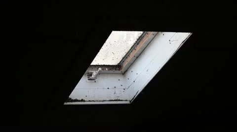 Flies swarm at skylight, trapped inside dirty window Vídeos de archivo 21258307