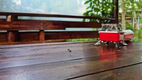 Flies on the table Stock Footage 314909090