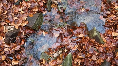 Fliessend Stock-Footage 121107724