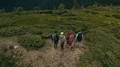 The flight above active people on a mountain 4k or 4k+ Resolution