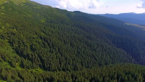 Flight above beautiful forest in mountain ridge Stock Footage 79983177