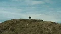 The flight above the couple on the beautiful mountain 4k or 4k+ Resolution