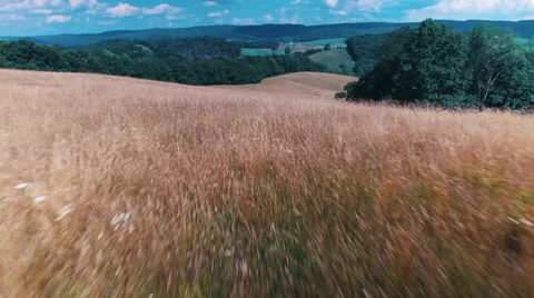 Flight above a field 動画素材 67496095