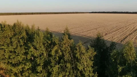 The flight above the field on the sunny background. quadcopter shot. Wheat field Stock Footage 158217028