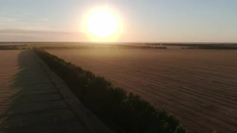 The flight above the field on the sunny background. quadcopter shot. Wheat field Stock Footage 158223661