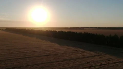 The flight above the field on the sunny background. quadcopter shot. Wheat field Stock Footage 158238242