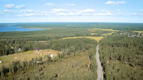 Flight Above Forest and Road Stock Footage 66778930