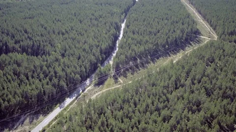 Flight Above Forest and Road Stock Footage 66779356