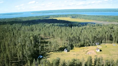 Flight Above Forest Stock Footage 66779036