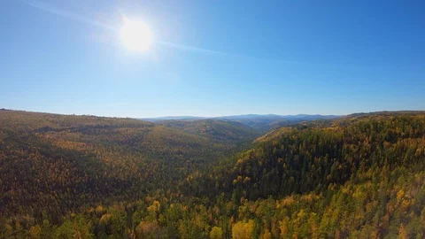 Flight above the forest Stock Footage 122647284