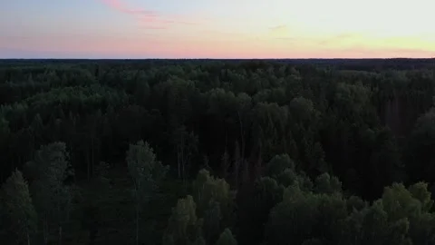 Flight Above Forest Stock Footage 251006973
