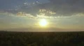 The flight above the forest on the sunset background 4k or 4k+ Resolution