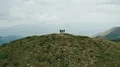 The flight above four active people on the mountain 4k or 4k+ Resolution