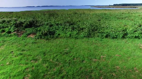 Flight above a german river Stock Footage 67564756