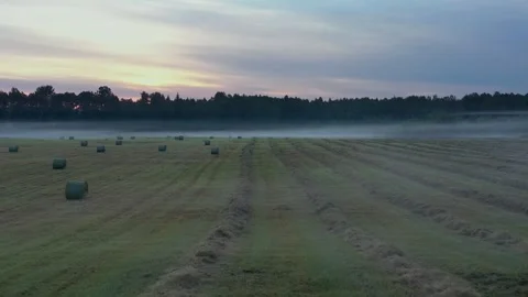 Flight Above Hay Field Stock Footage 249631050