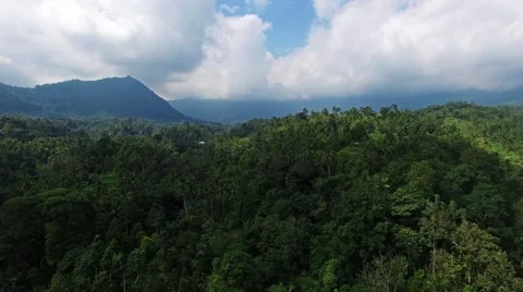 Flight above jungle Stock Footage 53780344