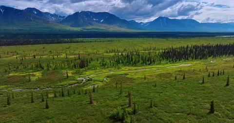 Flight above the marshes and rivers in the green valley. Stock Footage 317829980