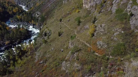 Flight above the mountain river among dense forest. Bird's eye view Stock Footage