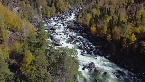 Flight above the mountain river among dense forest Stock Footage 142418921