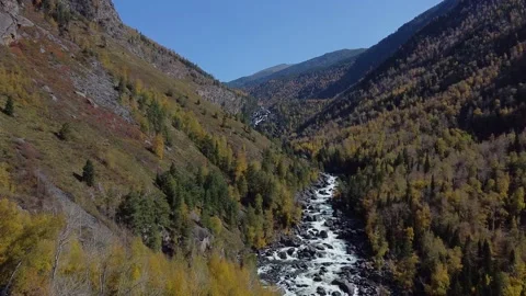 Flight above the mountain river among dense forest. Bird's eye view Stock Footage 142418973