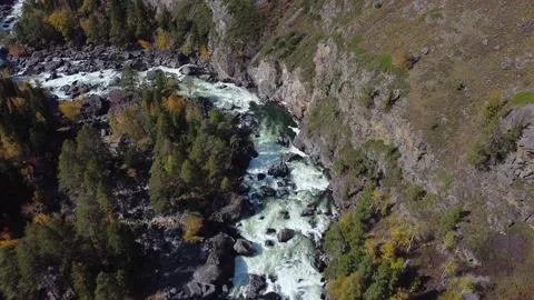 Flight above the mountain river among dense forest. Bird's eye view Stock Footage 142419192