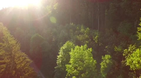 Flight above mountain river Stock Footage 52460807