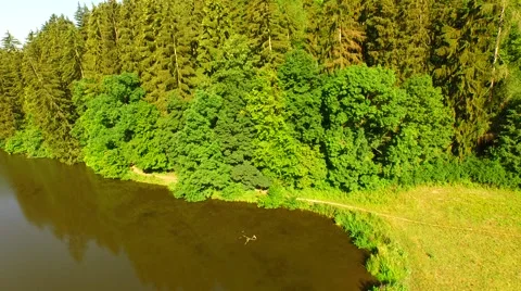 Flight above mountain river Stock Footage 52461911