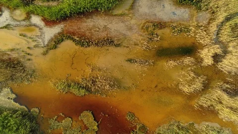 Flight above river delta pattern mineral salt lake duckweed Russia national park Stock Footage 119411943