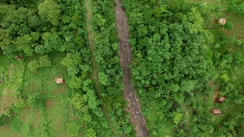 Flight above river stream in tropical rainforest Stock Footage 108679921