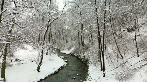 Flight above rivulet during winter Stock Footage 231262593