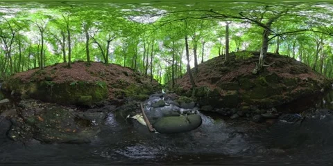 Flight above Shankil River downstream in forest. Stock Footage 345679850