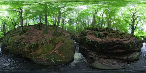 Flight above Shankil River upstream in forest. Stock Footage 345678865