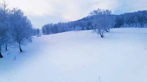Flight above snow-covered winter forest. Video stock 150078274