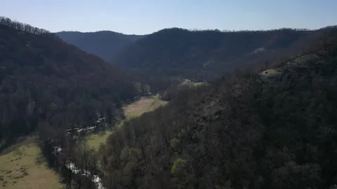 Flight above spring valley with curved tall river stream in the middle Stock Footage 137386445