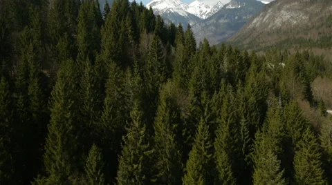 Flight above spruce, rock mountain valley with winding road Vidéo 44960700