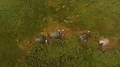 The flight above the tent camp on the beautiful mountain 4k or 4k+ Resolution