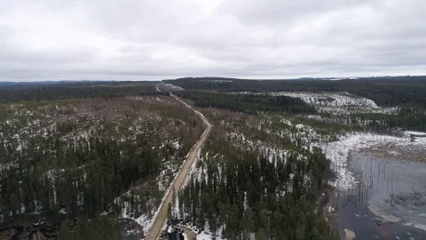 Flight above tops of trees without leaves, pines, spruces and firs Stock Footage 125812360