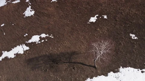 Flight above trees and fields with melting snow. Stock Footage 152721084
