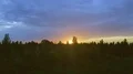 The flight above trees on the sunrise background 4k or 4k+ Resolution
