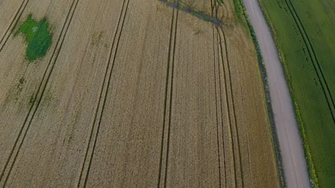 Flight Above Wheat Fields Stock Footage 250359810