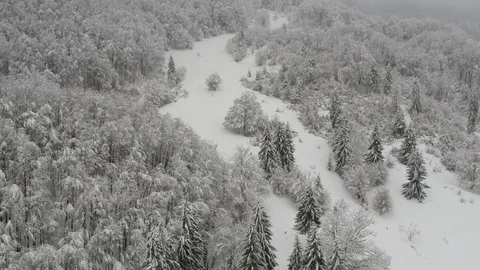 Flight above winter forest Stock Footage 103456100