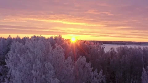Flight Above Winter Forest Stock Footage 256686284