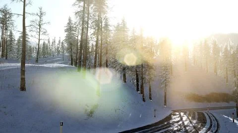 Flight above Winter Forest Ilustração Stock