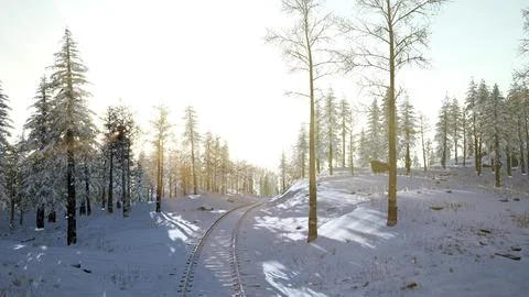 Flight above Winter Forest Ilustração Stock