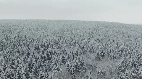 Flight above winter forest on the north, aerial view. Video stock 67679455